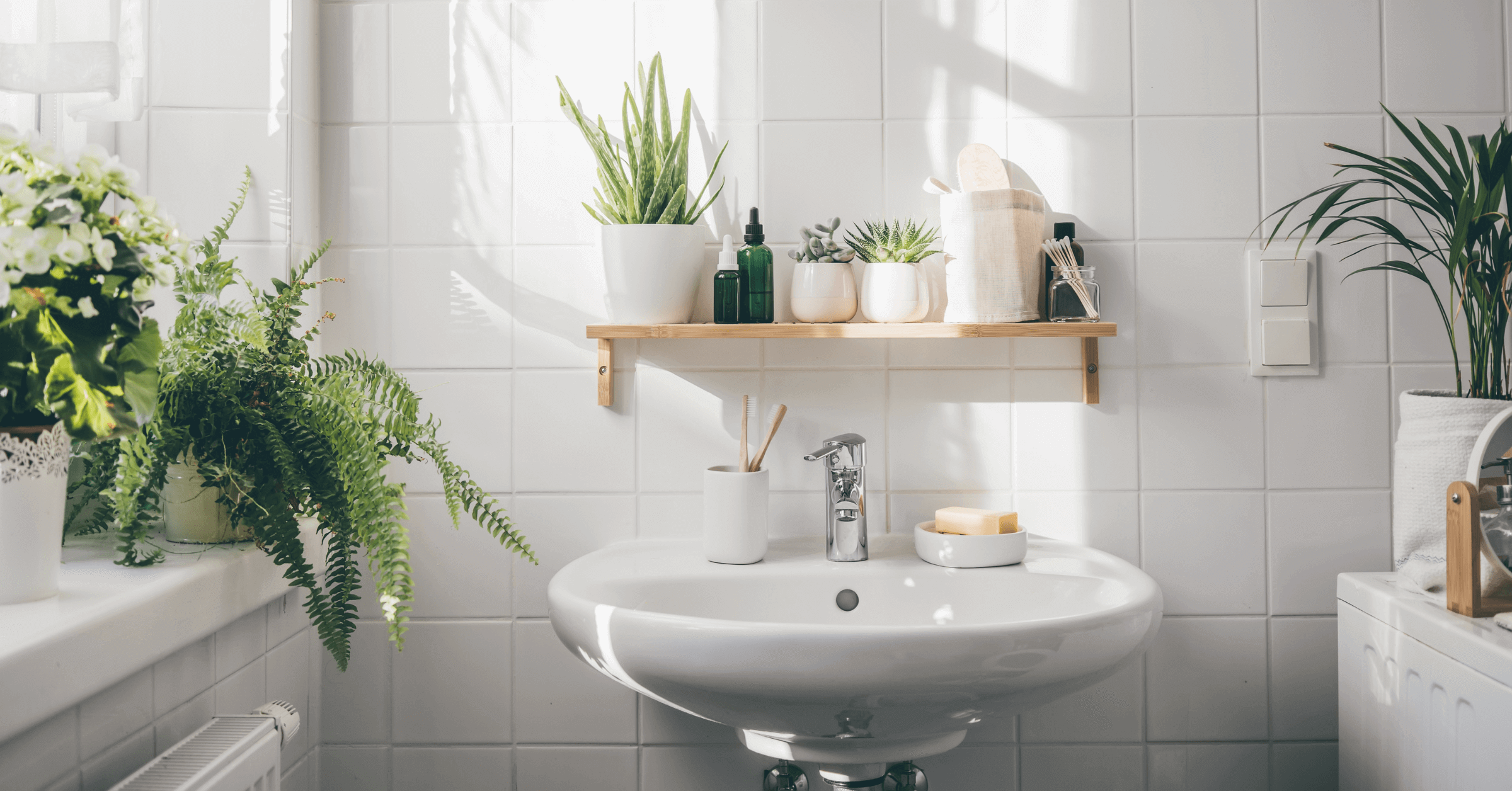 Plantas para Banheiro