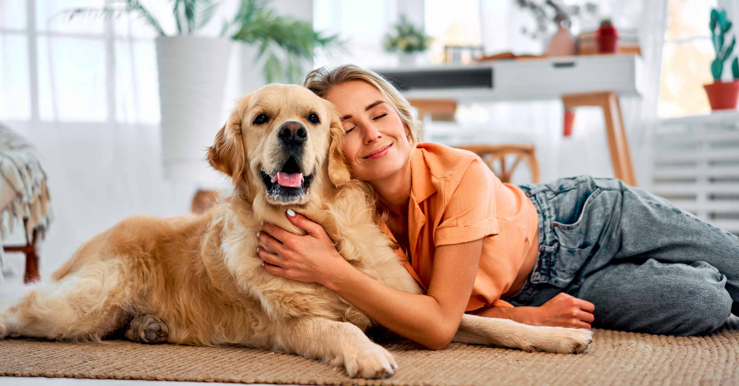 Pets em condomínios direitos, deveres e dicas